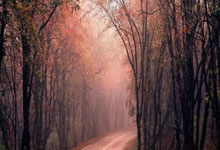 国足冲击2026世界杯，这次能走多远？